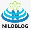پشتی طبی باراد